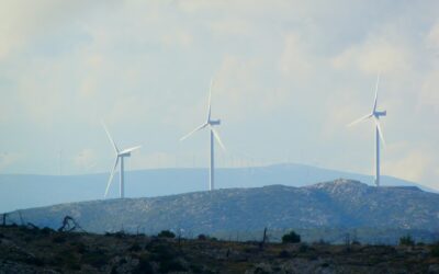 Bæredygtig ESG kommunikation er afgørende for moderne virksomheder